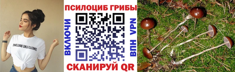 Галлюциногенные грибы GOLDEN TEACHER Мензелинск